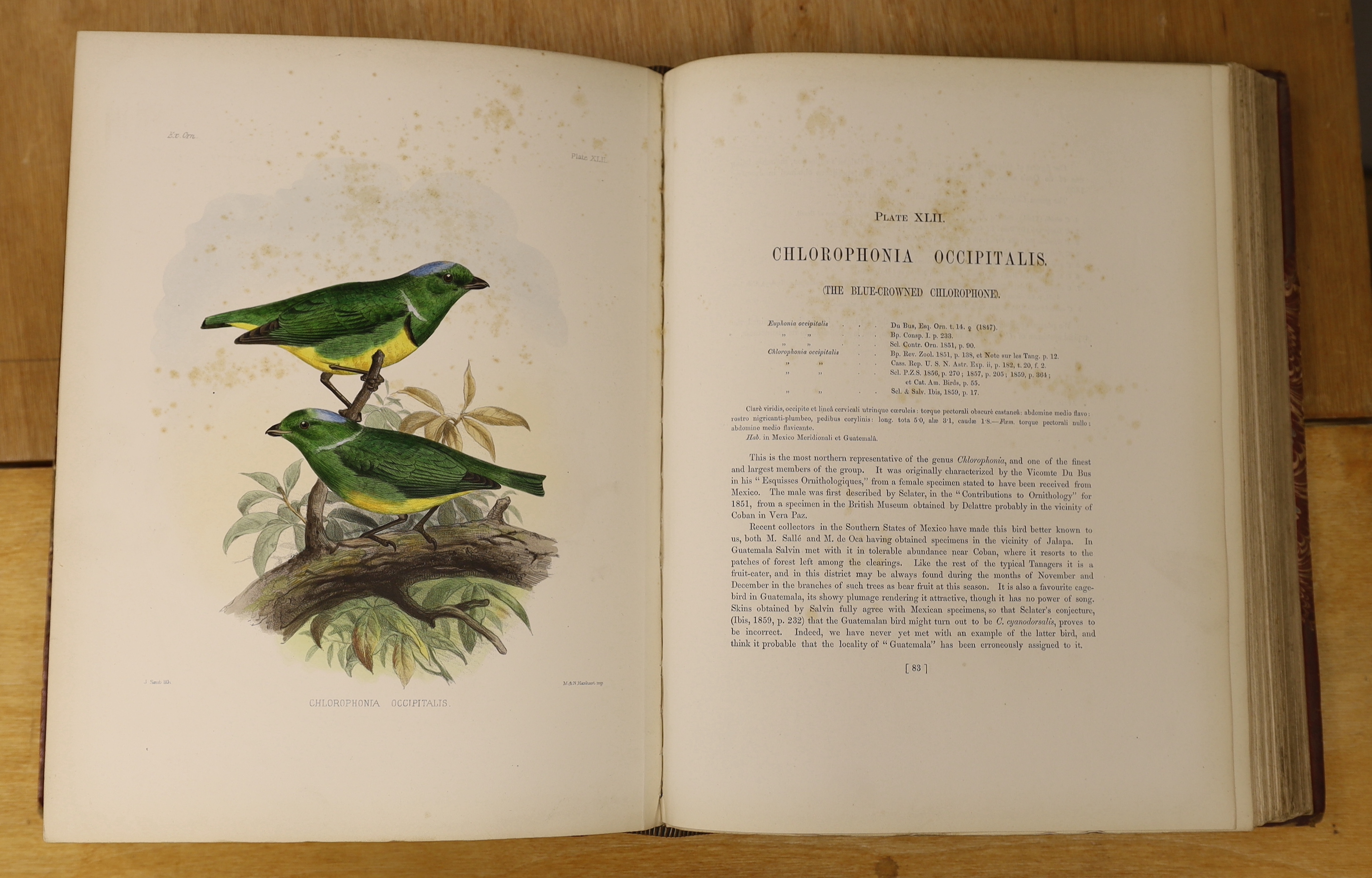 Sclater, Philip Lutley & Salvin, Osbert - Exotic Ornithology, containing Figures and Descriptions of New or Rare Species of American Birds. 100 hand-coloured plates and a few text figures; old red half morocco and marble